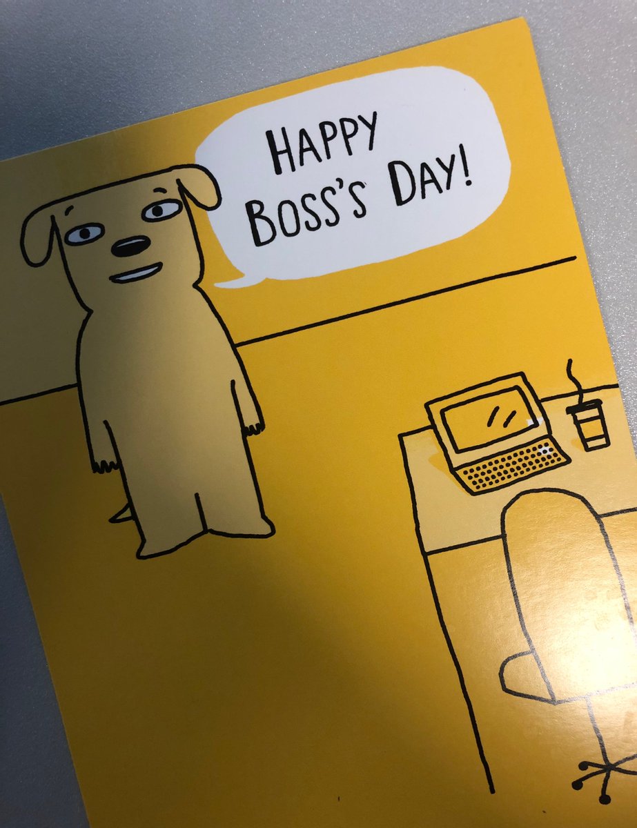 Radu Somesfalean tweet media