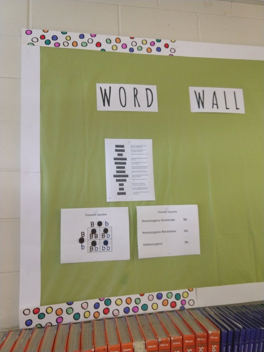 juliem_coach's tweet photo. First year teacher word wall on point! Nice job Ms. Turcin @DelSestoMiddle @BasecampNe #basecampne #FAWEO https://t.co/iYqJDYHrCp