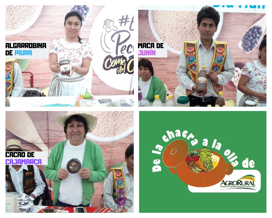 agroruralPER's tweet photo. #EstePechitoComeDelCampo 🎉👨‍🌾👩‍🌾🥑🥒🌽👍🎉| Celebremos juntos el #DíaMundialDeLaAlimentación con los productores de la feria #DeLaChacraALaOlla de #AgroRural.

📢Ellos vienen de #Cajamarca, #Junín y #Piura para participar de esta importante ceremonia del @minagriperu https://t.co/HlSzNCZKaN