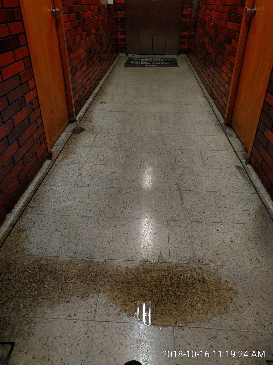 wheelieplanner's tweet photo. #DearBART there's urine in the hallway LL platform elevator at 12th St Station.

Urine in the hallway is worst  than urine in the elevator; one must travel over it to access the agent intercom to alert staff of the biohazard. @SFBART
@RaburnForBART https://t.co/ifQGQlTN96