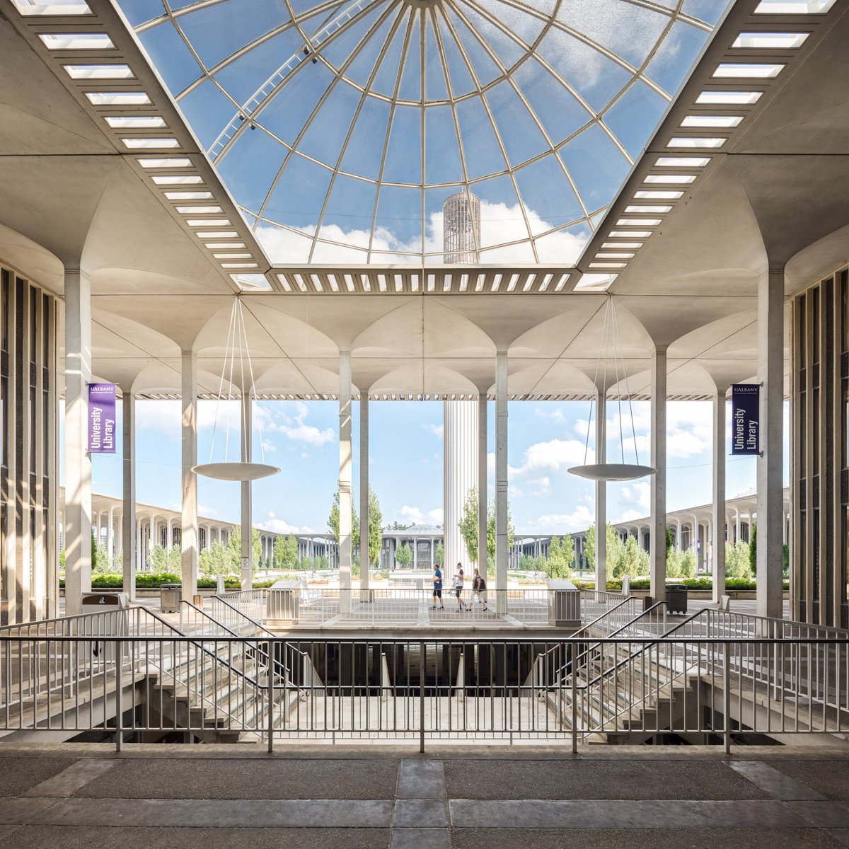 Working At University at Albany Zippia