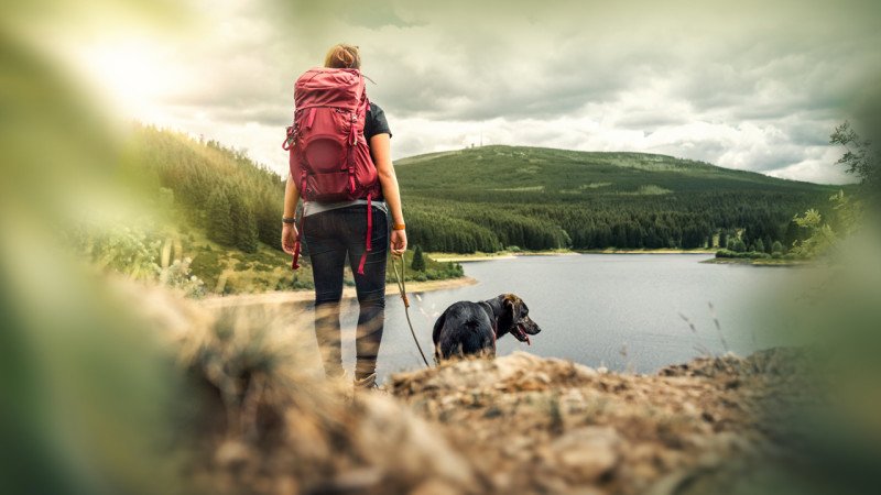 espacespleinair's tweet photo. Presque tous les parcs du @reseausepaq accessibles aux chiens en 2019 https://t.co/koIjq2fq36 https://t.co/vy3fQ2CELZ