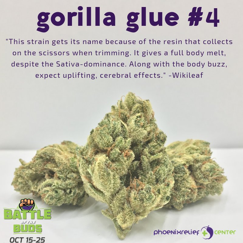 PhxReliefCenter's tweet image. Gorilla Glue VS. 🥊 Cream Soma 
Battle of the Buds going on until the 25th at PRC. Who will be the winner? Swing by to vote. 🗳 .
.
.
#phoenixreliefcenter #PRClove #battleofthebuds #health #wellness #medicine