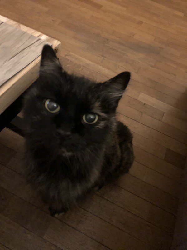 Baptiste Malguy tweet media