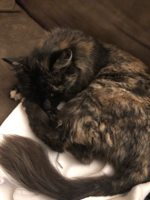 Baptiste Malguy tweet media