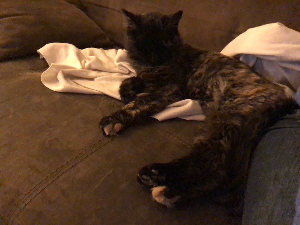 Baptiste Malguy tweet media