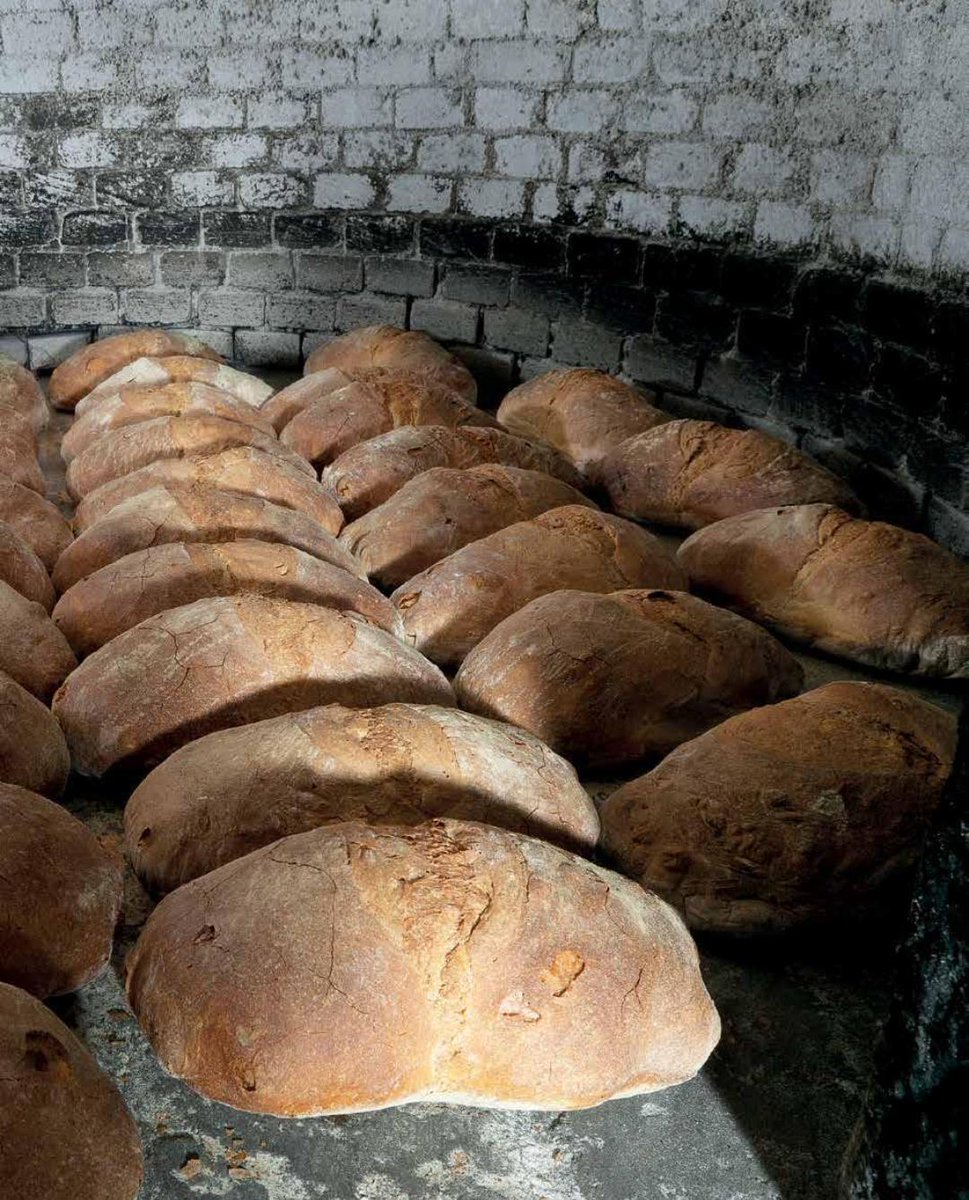 SabiasGalicia's tweet photo. Sabías que hoxe é o #DíaMundialdelPan. En Galicia temos o primeiro pan de Europa que obtivo a Indicación Xeográfica Protexida, o Pan de Cea. Orixinario da vila de San Cristobo de Cea (Ourense), leva elaborándose dende o século XIII. #FelizMartes #Galicia https://t.co/N0SwdJUQMX