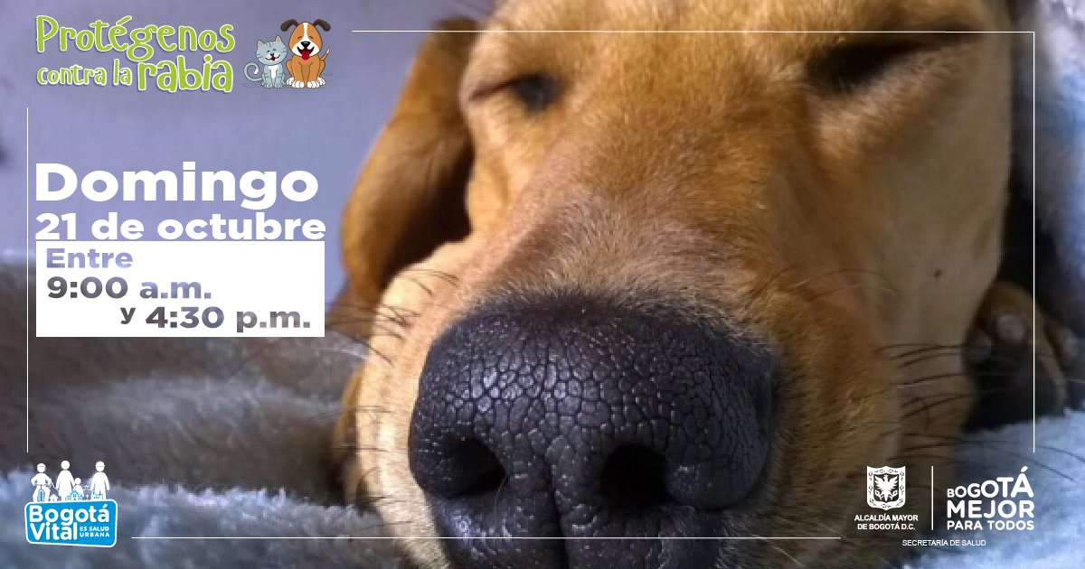 SubRedSurOcci's tweet photo. No olvides llevar el carné de vacunación antirrábica de tu mascota. Si no lo tienes no te preocupes. Ese día se te entregará un carné nuevo ¡Consérvalo! Encuentra los puntos de vacunación en https://t.co/NrO2leEXbd @SectorSalud @AnimalesBOG #BogotáSinRabia https://t.co/SQrLfpHvmL