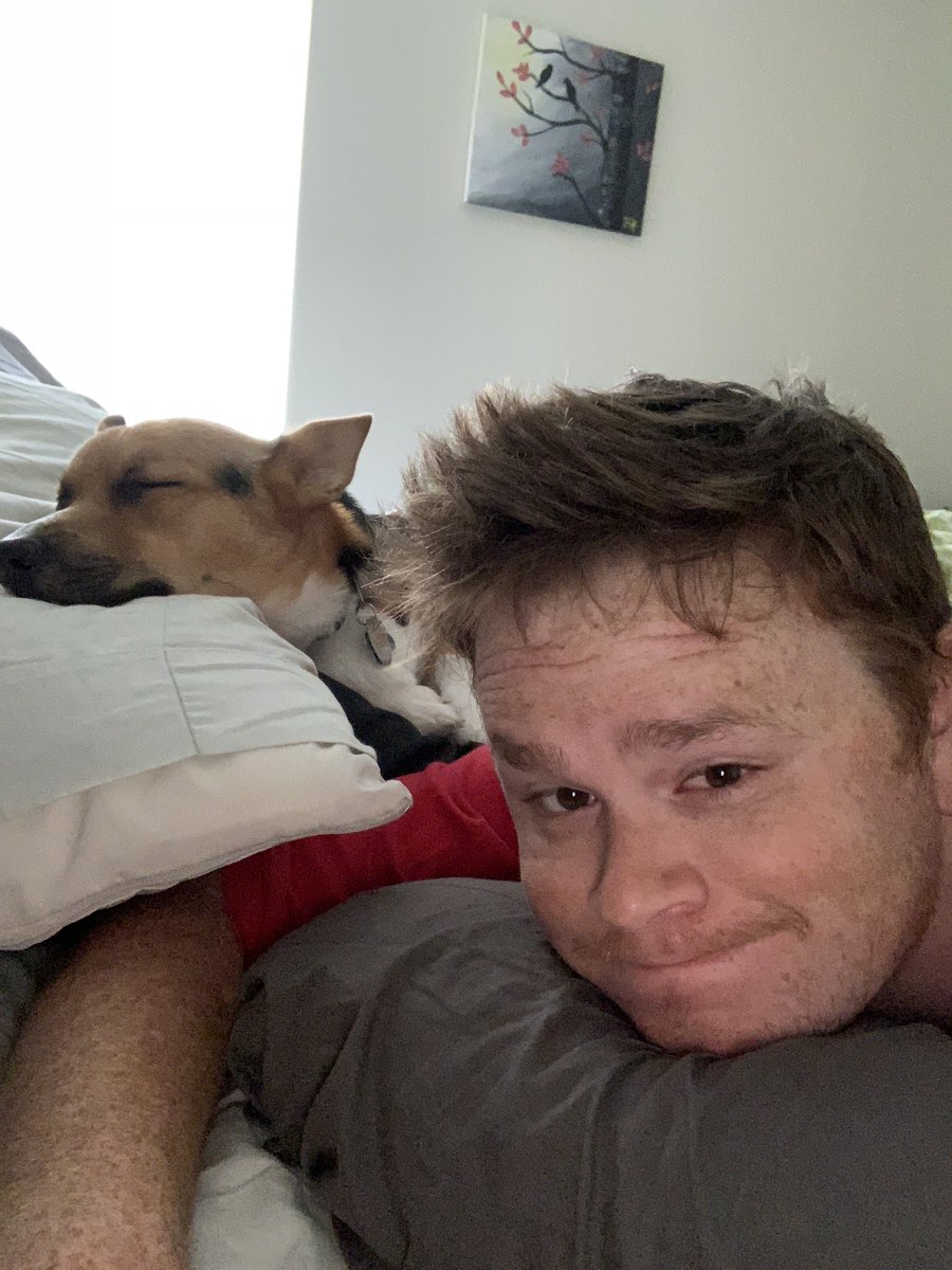 NoctWolfe's tweet photo. Sleepy doggo is sleepy
#corgi #sleepypuppy #doggo #totespresh https://t.co/4ZlkL4Svr4