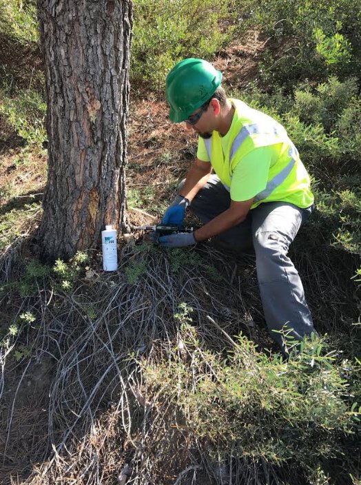 snsproducts's tweet photo. SNS products are used around Home Owners Associations to keep trees healthy? See SNS-209 being injected into trees to keep them insect free.
Thanks to MTC Horticulture for this picture. Great company dedicated to the sustainable agriculture and environmentally safe processes. https://t.co/FzMYiL4DaS