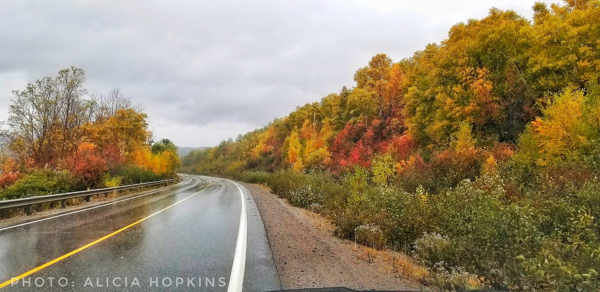 LegendaryCoasts's tweet photo. Adventure awaits around every bend on the East Coast. -Alicia
#ExploreNL #ExploreCanada #ThingsToDoInNL #travel #Newfoundland #Fall https://t.co/47tkdc2RQu