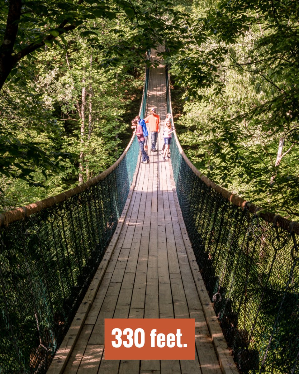 FoxfireMtn's tweet photo. Feast your eyes on the largest swinging bridge in America. https://t.co/ESJKqQ2Bcr
