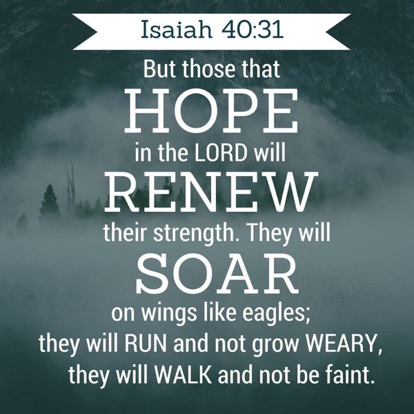 BibleRecital's tweet photo. Be part of the 2018 Bible Festival
#BibleFest
#FearNot
#RadicalforJesus
#CountDown
#FaithfulGod
#TheSovereignLord
#Bible #BibleStudy #Scripture #BibleVerse #BibleCelebration https://t.co/z7XjxH1OSP