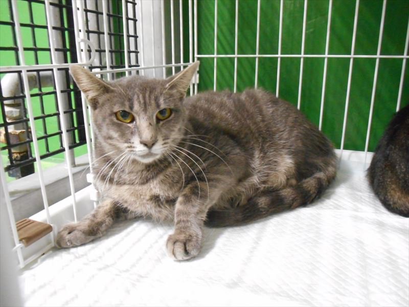 札幌市動物管理センター