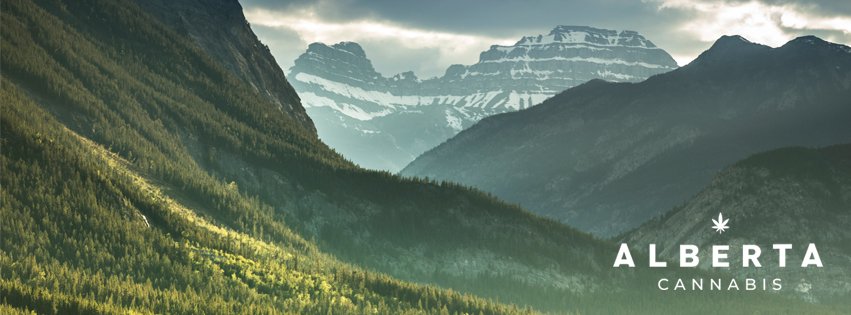 AB_Cannabis's tweet image. Who are we? Alberta Cannabis is the only legal, online cannabis store in Alberta. What does this mean? We will work with federally licensed Canadian producers to provide Albertans and retailers with access to regulated cannabis products. #CannabisLegalization #ab
