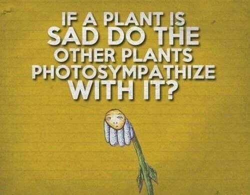 Joke of the day! Enjoy your Tuesday! #sionorganelle #sion #cilia