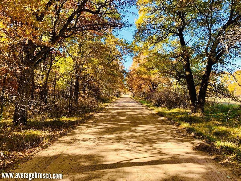 Nothing like a long walk down a dirt road in Fall. Find Your True North!™️🍁🍂
#fall #fallleaves #fallcolors #sweatshirtseason #sweatshirtweather #beard #beardseason #beards #bearded #barbershop #barber #barbers #barbering #beardtrim #giftforboyfriend #giftforhim #madeinusa