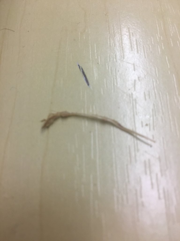 Addicted_to_OJ's tweet photo. @AldiUK today I was enjoying a bag of snackrite Worcester sauce crisps and as I was eating the final mouthfuls, I found a piece of hay in my mouth. I thought I would let you know as I don’t know how it got in my crisp packet during production. https://t.co/QQ1dJHYc6D