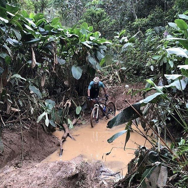 Bikeaospedacos's tweet photo. Na trilha super Bonder! Foto por @pedrlage obrigado! #bikeaospedacos #bike #bicicleta #pedalrio #pedaltop #pedalmais #pedalpower #clicknabike #aquipedala #souciclista #cycling #pedalabrasil #decorabike #smarttransbike #velocite #semimimi #trilhacamiseta… https://t.co/4YdBwwTz4U https://t.co/4N0eUsefS2