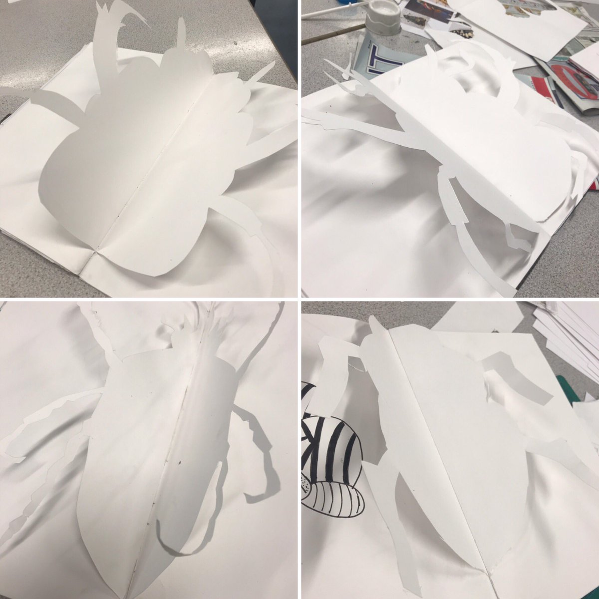 shay_bianco's tweet photo. Fantastic Paper Cutting with 8Y2, super results @Kingswinfordsch @WindsorAcademyTrust. #Insectsproject #paperart #papercutting #papercutouts #nervousteachertoomanyknivesout #studentsworkingbeyond https://t.co/dMkbNqhj53