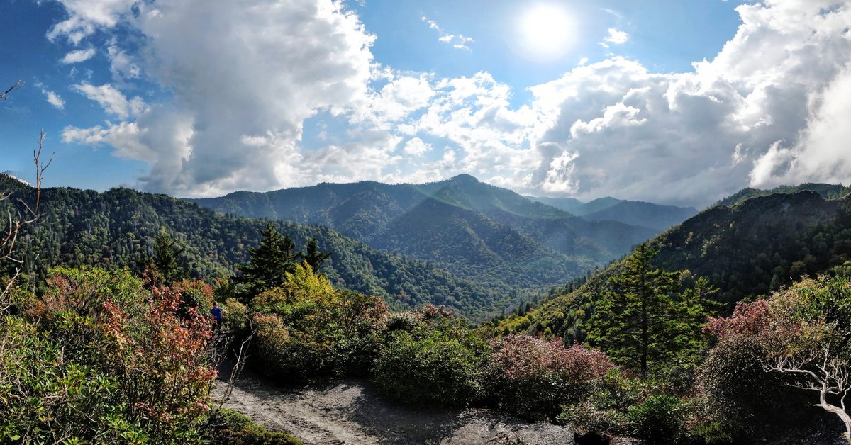 Eyyfillay's tweet photo. Somewhere in the Smokeys
#op5t #TN #hiking #mountains https://t.co/xcTqChVxck