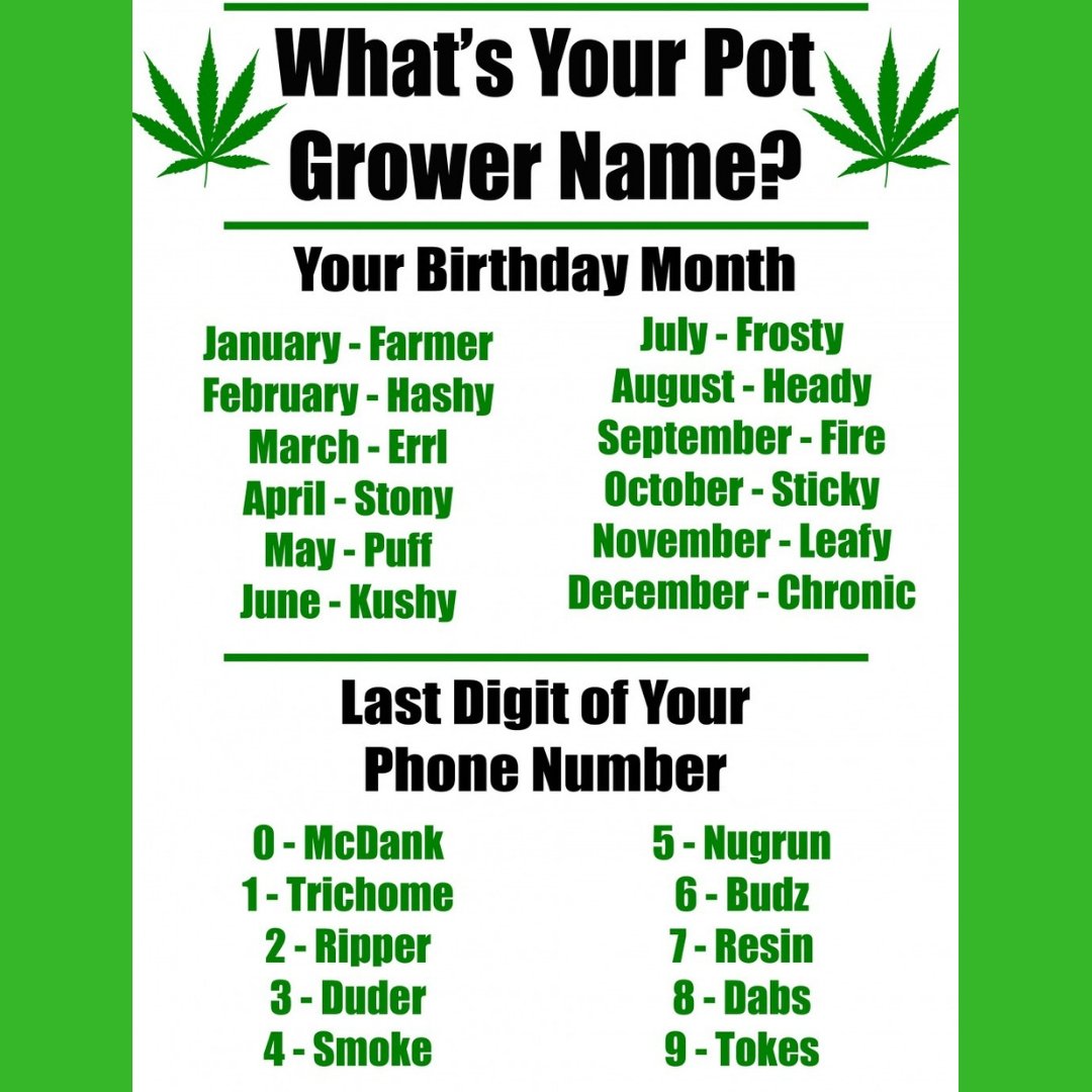 Euphoric 360 On Twitter Just Because I M Curious Also I M Going By Puff Resin Now Instagood Potd Pnw Stoner Name Game Resin Recreational Medical Fun Goodvibes Getweird Weird Trippy Tuesday Oh Boy