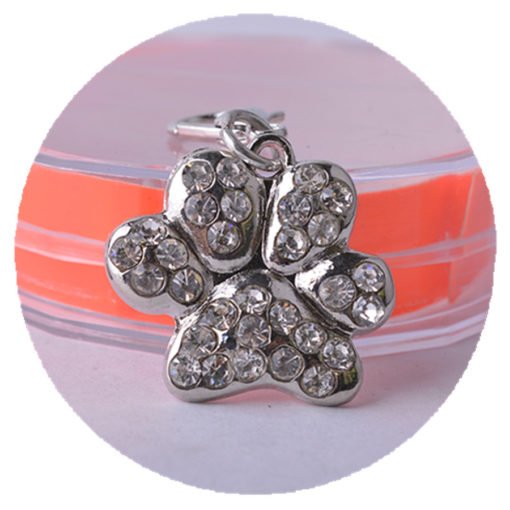 DogsRule2018's tweet photo. Buy Now "Rhinestone Jewelry Pendant Collar". CLICK HERE: https://t.co/VuHaRBiDDW
.
.
#NationalBossDay #doglovers #horseface #dogloversclub #TuesdayThoughts #dog #WorldFoodDay #dogstagram #BankruptcyBands #dogs🐶 #GBBO #dogum  #Manon #dogaccessories #Rahul #pet #pets #puppy https://t.co/nEdrHTvRPr