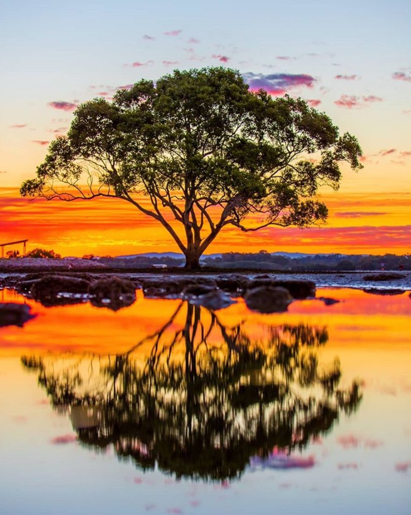 PubRoomsAUS's tweet photo. That moment the sun sets creating a magical reflection in nature. 😮

Has an Australian destination given you that one perfect moment?

📸 @shipwreckphotography- Brighton, Queensland

@visitbrisbane
@visitqueensland
#pubrooms

#pubroomsaus
#pubroomsaustralia https://t.co/b8xOL03XE4