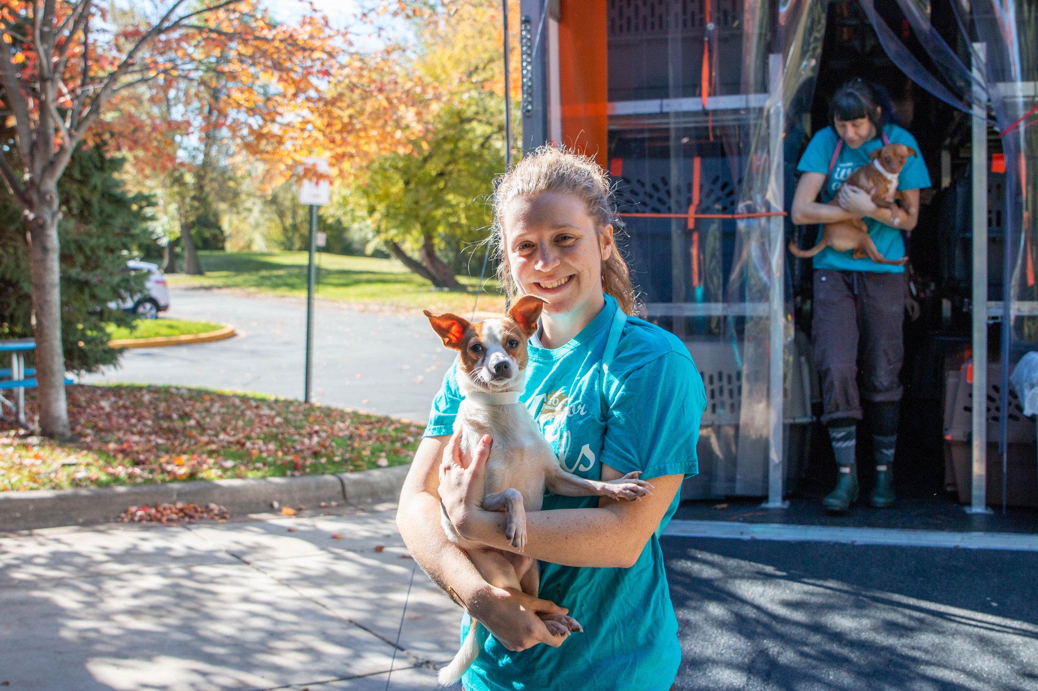 FOX 9 on Twitter "88 dogs displaced by Hurricane Michael now looking
