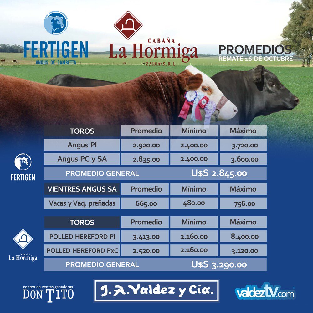 ValdezyCia's tweet photo. Resultados #LaHormiga y #Fertigen hoy en Don Tito , en 80 minutos se vendió la oferta !!!
#Equipovaldez ⁦@hereforduy⁩ ⁦@AngusUruguay⁩ https://t.co/E2kUjZHxRc
