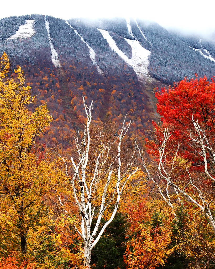 Saturday’s snowfall has us asking, are you ready to #WinYourWinter!? 🏆❄️ Enter to win one of FIVE 2-night stays at Stowe Mountain Lodge this year by visiting winyourwinter.com! Enter today, contest submissions conclude November 1st! (Link in bio)