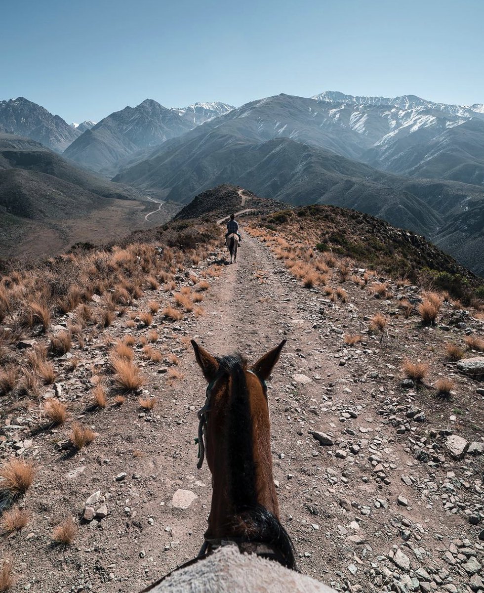 TripinArgentina's tweet photo. En el Valle de Uco en Mendoza con  IG #filmandoelmundo p/@tripinargentina.
.
“Vistas en primera persona 🐴✨”.
.
GCS @Aerolineas_AR @visitvalledeuco @enteturismomza #valledeuco #mendoza #argentina #visitsouthamerica #southamerica #discoversouthamerica.
.
Tag #tripinargentina https://t.co/gyIddPgyD9