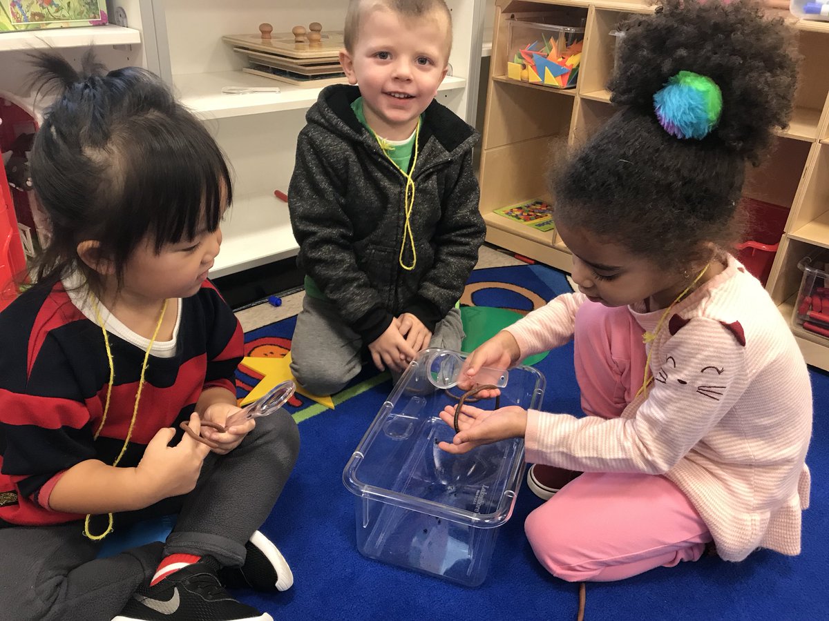 mrscrossOV's tweet photo. Worm investigations using live worms...hands-on learning at its’ finest! https://t.co/hRTQbKE8gF