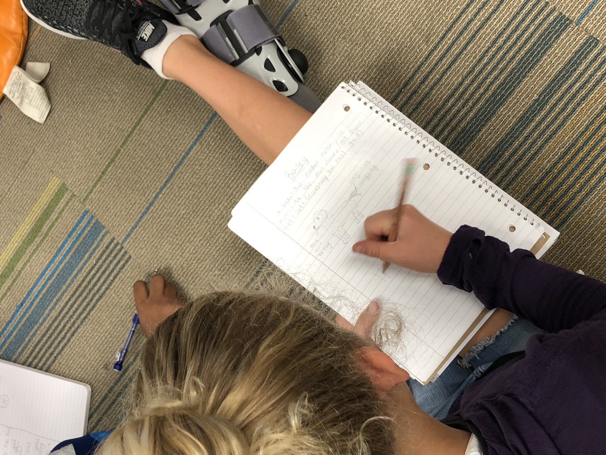 PerlmanSamantha's tweet photo. What inspires you to write poetry? #poets #inspiration @HortonsCreekES https://t.co/jP3dtlfBmS