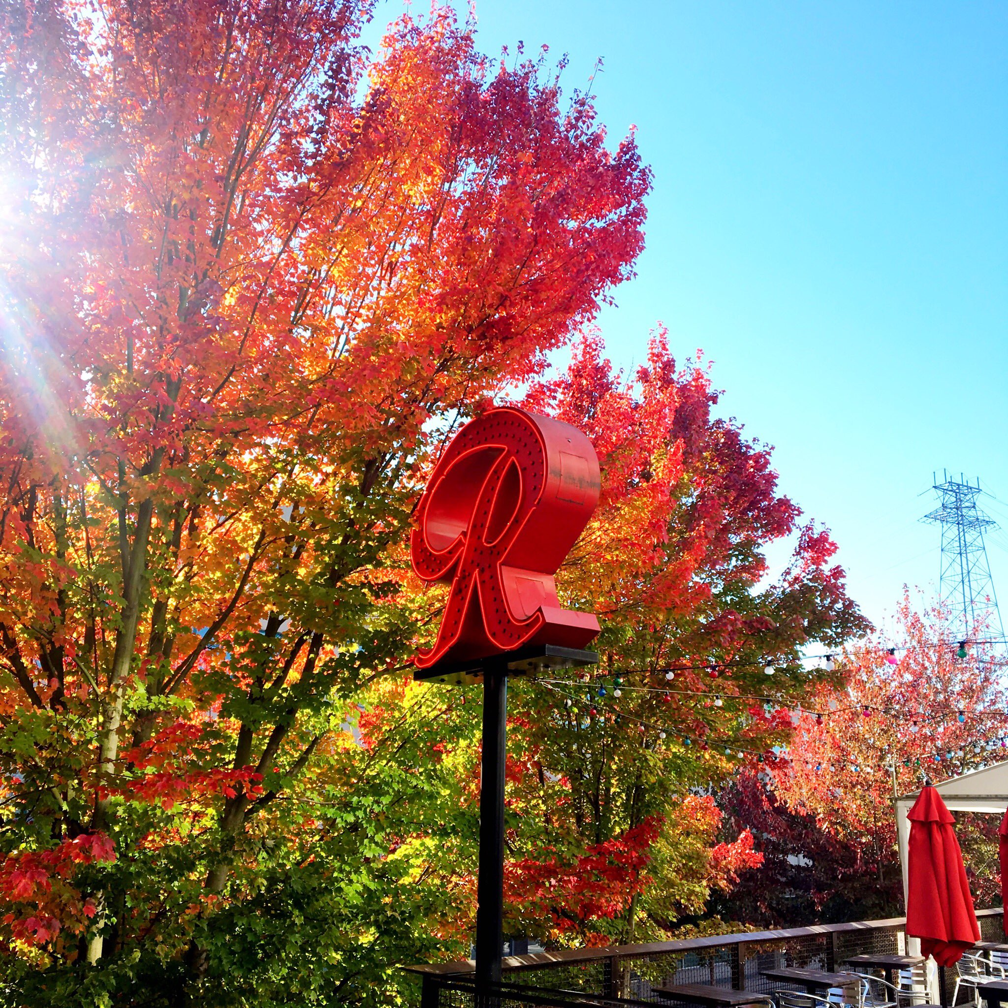 Red Door Fremont On Twitter Gorgeous Fall Day To Enjoy Our Patio