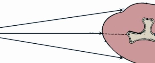 download die technische mechanik des maschineningenieurs