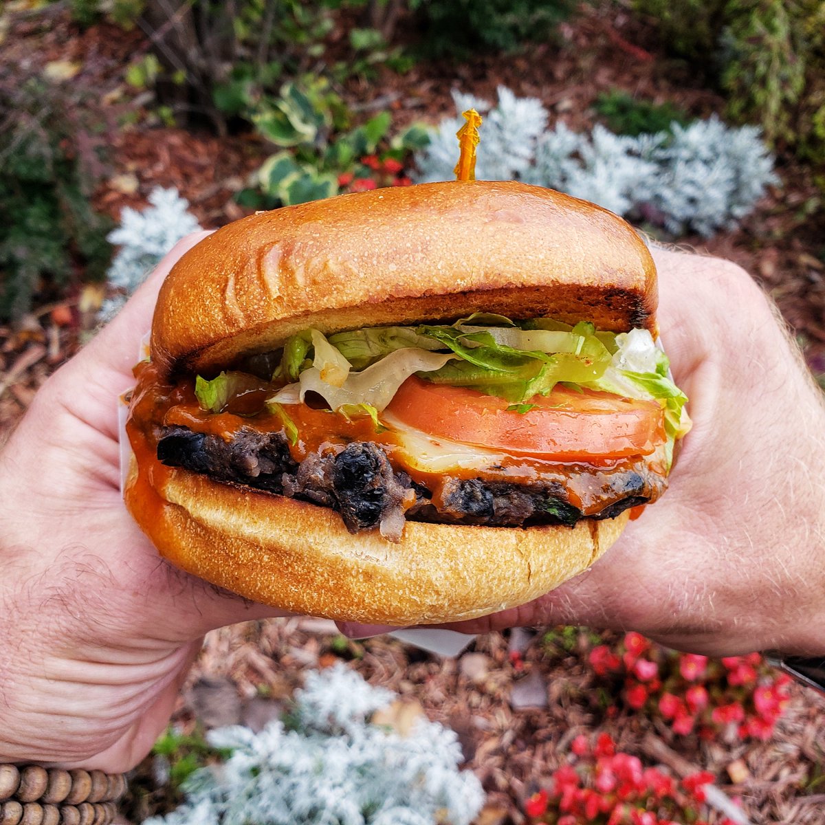 *** Sandwich of the Week ***
A Black Bean Burger with Pepperjack Cheese, Shredded Lettuce, Tomato, and Housemade Red Chili Sauce!
.
Come in anytime this week to taste this delicious sandwich!