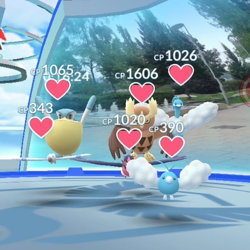 totalmonsense's tweet photo. “The Aviary” 🐤🕊🐦 by zayr0 on IG 🐦 #birdtheme #typetheme #flyingtype #flyingtheme #teammystic #pokemongo #themegym
https://t.co/Z2fkBUF1WV https://t.co/NNJDZiO9Ii