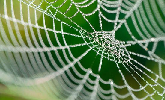 Biomimicry, the practice of looking deeply into nature for solutions to engineering, design and other challenges, has inspired a film about it’s ground-breaking vision for creating a long-term, sustainable world. Come see the film 10.20.18 at #SacWildScenic!