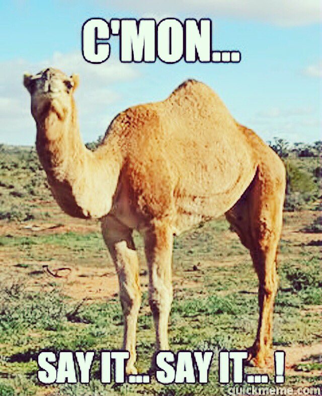 myprideradio's tweet photo. #goodmorning #wakeywakey It’s the hump of the week! For a humptastic start to your day join @mel_crawf & @peterdarrant 7amBST #bigbreakfastshow on @prideradione & @prideworldradio #humpyhumpy #getlgbtsmart #pride #world #radio #music #lgbt #ally @prideworldmedia @outandproudtv https://t.co/UxLJ84kVwM