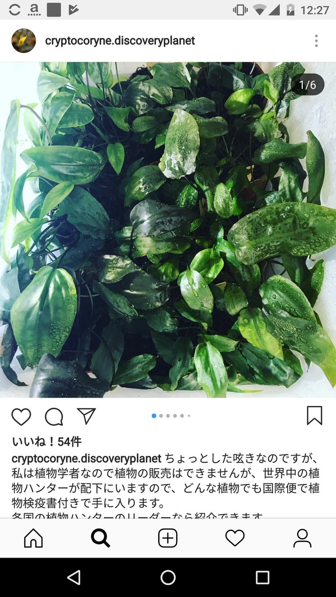 azulaquarium's tweet photo. ここまで厚かましく経歴を盛れるって清々しい。一度インドネシアの入管に報告してみます。
#小林葉介
#discoveryplanet
#本人に届け
#また和牛送ってね https://t.co/ZMpBVvi3K8