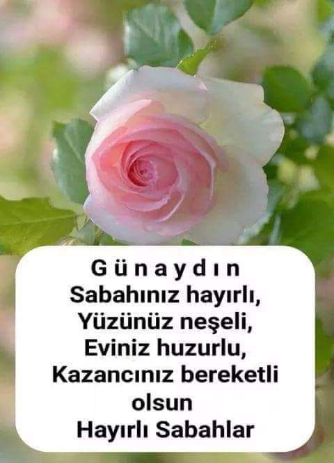 Gülten 44 (@44gulten) on Twitter photo 