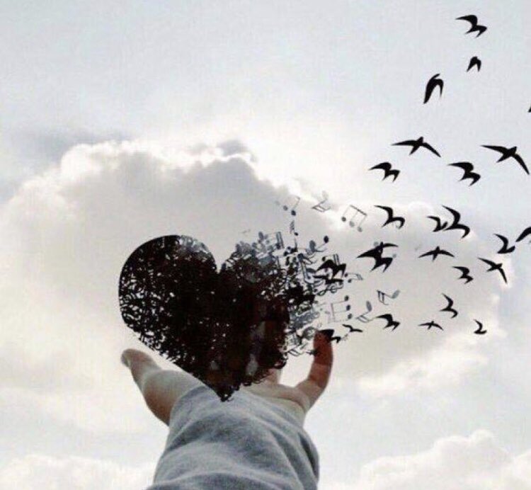 #خاطره

كن كالسَّحاب ؛  صمته ظِل وكلامه قطراتُ خير🌧🌿