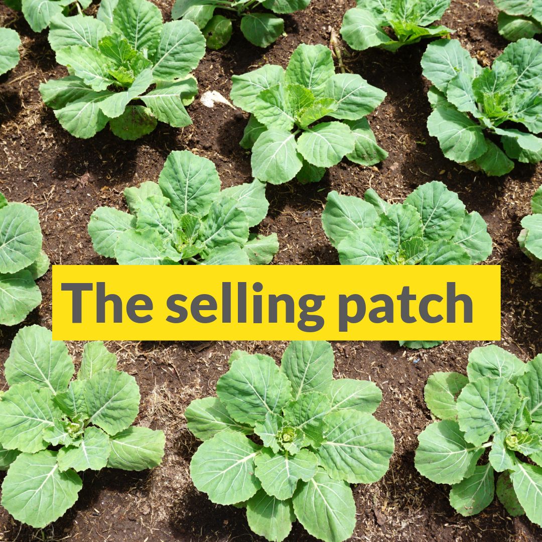 RWBrunswick's tweet photo. SELLING PATCH: With chicken coops, fruit trees and veggie plants now advertised as defining property features, there is an emerging demand for homes that embrace a touch of country living for inner-city residents. Read on: https://t.co/0sjxPzDJI9 #RWBrunswick https://t.co/gMn4dnd1Wx