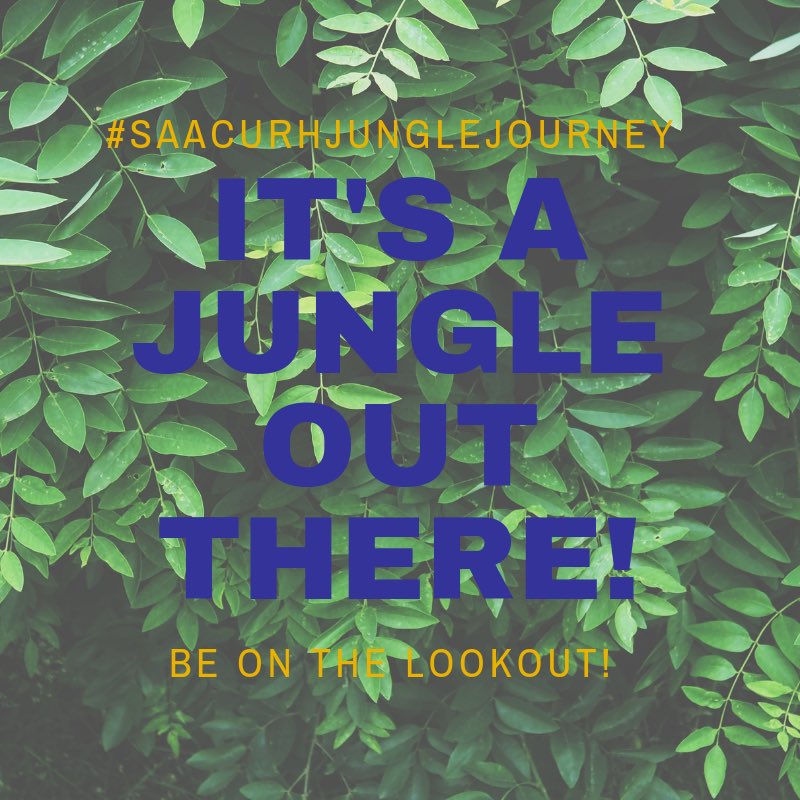 It’s a jungle out there! You need to keep your eyes open and on the lookout. Share what you are looking out for the most at RLC! Tag it with #SAACURHJungleJourney #[your institution] and #SAACURHSpirit2018