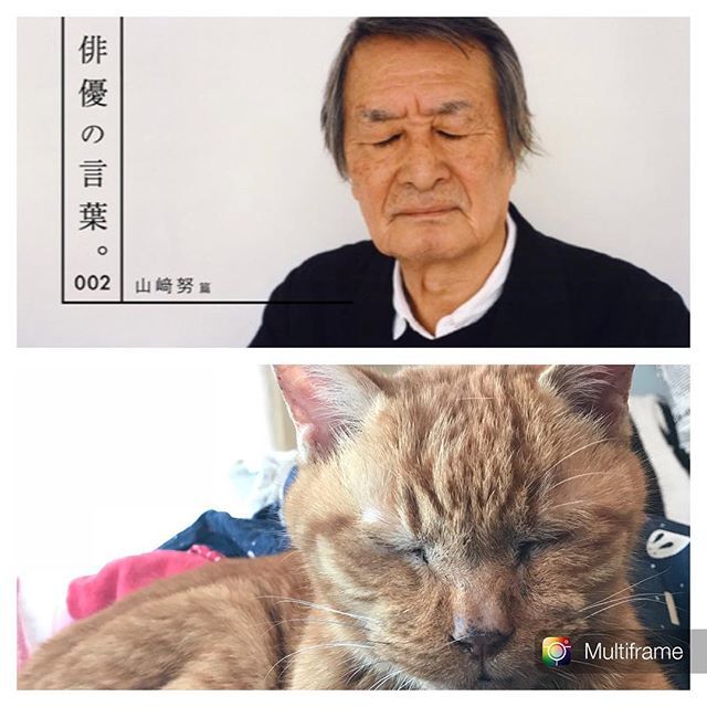 寝たら死ぬぞ 寝たら死ぬぞ
