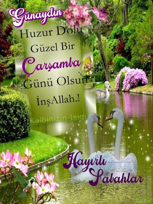 Gülten 44 (@44gulten) on Twitter photo 