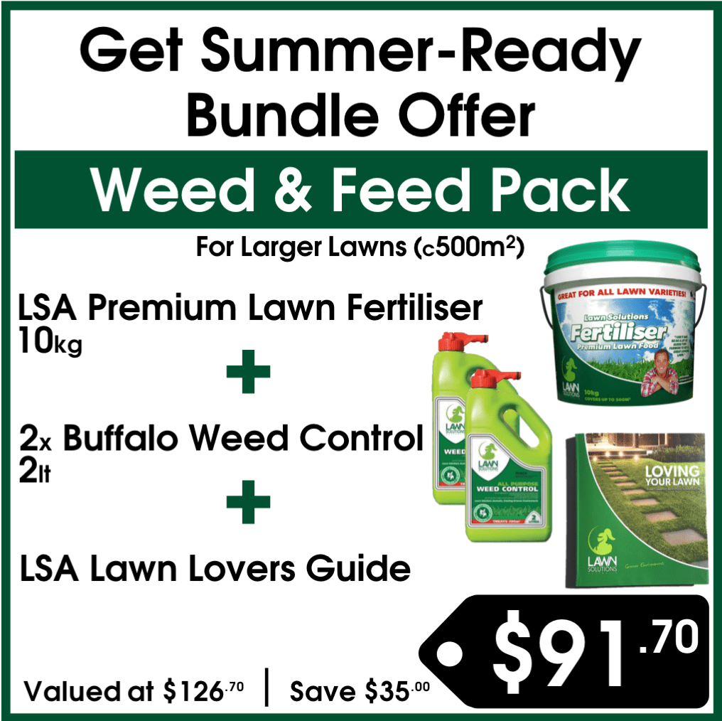 thegrassguru's tweet photo. 🌞 GET SUMMER READY! 🌞 Humidity's high; summer's on its way; it's the perfect time to get your #lawn ready for summer! Get your SIZZLING "Get Summer-Ready Specials" here: https://t.co/kOb52dU045 https://t.co/jmGMP4YiaF