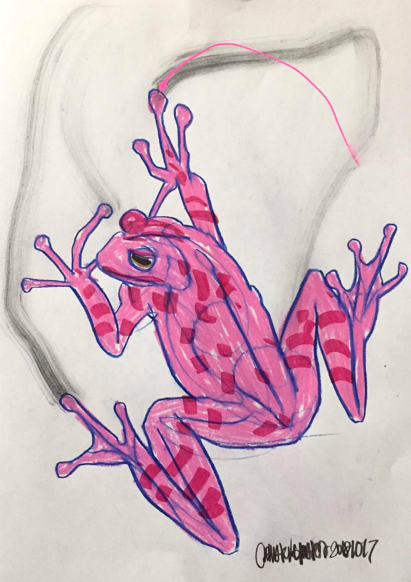 ピンクカエル