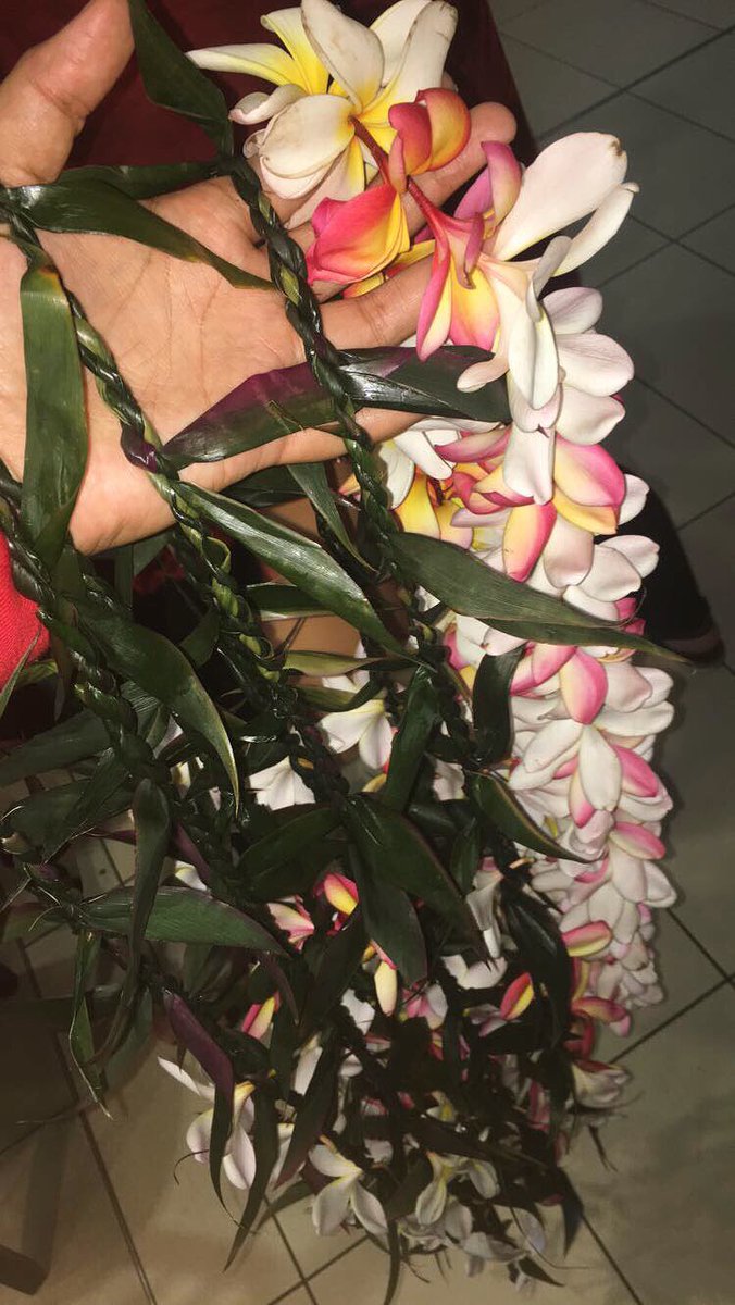 uhhnahh_m's tweet photo. exactly a year ago today my mum made me skip work to make lei’s for the MMT team 😂🤦🏽‍♀️ as we welcomed them to Cairns for their first game For the RWC! 🇹🇴🙌🏾🇹🇴🙌🏾🇹🇴🙌🏾🇹🇴🙌🏾🇹🇴🙌🏾🇹🇴🙌🏾🇹🇴🙌🏾🇹🇴🙌🏾🇹🇴🙌🏾🇹🇴🙌🏾🇹🇴🙌🏾🇹🇴🙌🏾🇹🇴🙌🏾🇹🇴🙌🏾🇹🇴🙌🏾🇹🇴🙌🏾🇹🇴🙌🏾🇹🇴🙌🏾🇹🇴🙌🏾🇹🇴🙌🏾🇹🇴🙌🏾🇹🇴🙌🏾🇹🇴🙌🏾🇹🇴🙌🏾🇹🇴🙌🏾🇹🇴 Good times #thistonga #MMT https://t.co/tY20bc6jVo